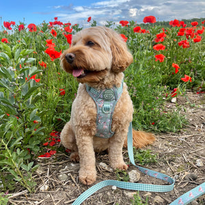 Disney© Lead - Bambi + Thumper