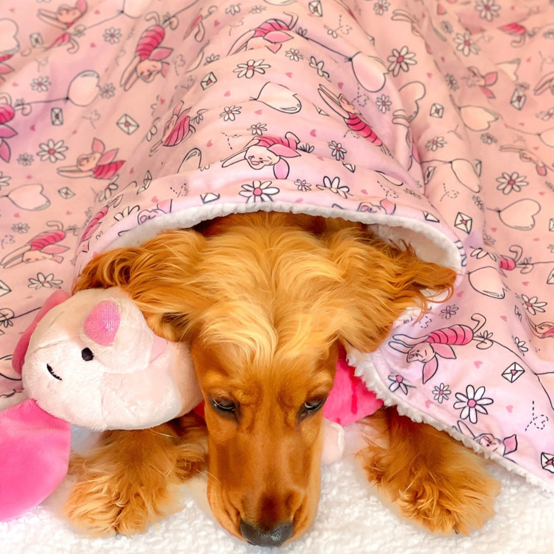 Disney© Dog Blanket - Piglet