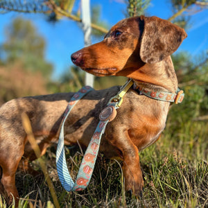 Disney© Lead - Gingerbread Bear Sage