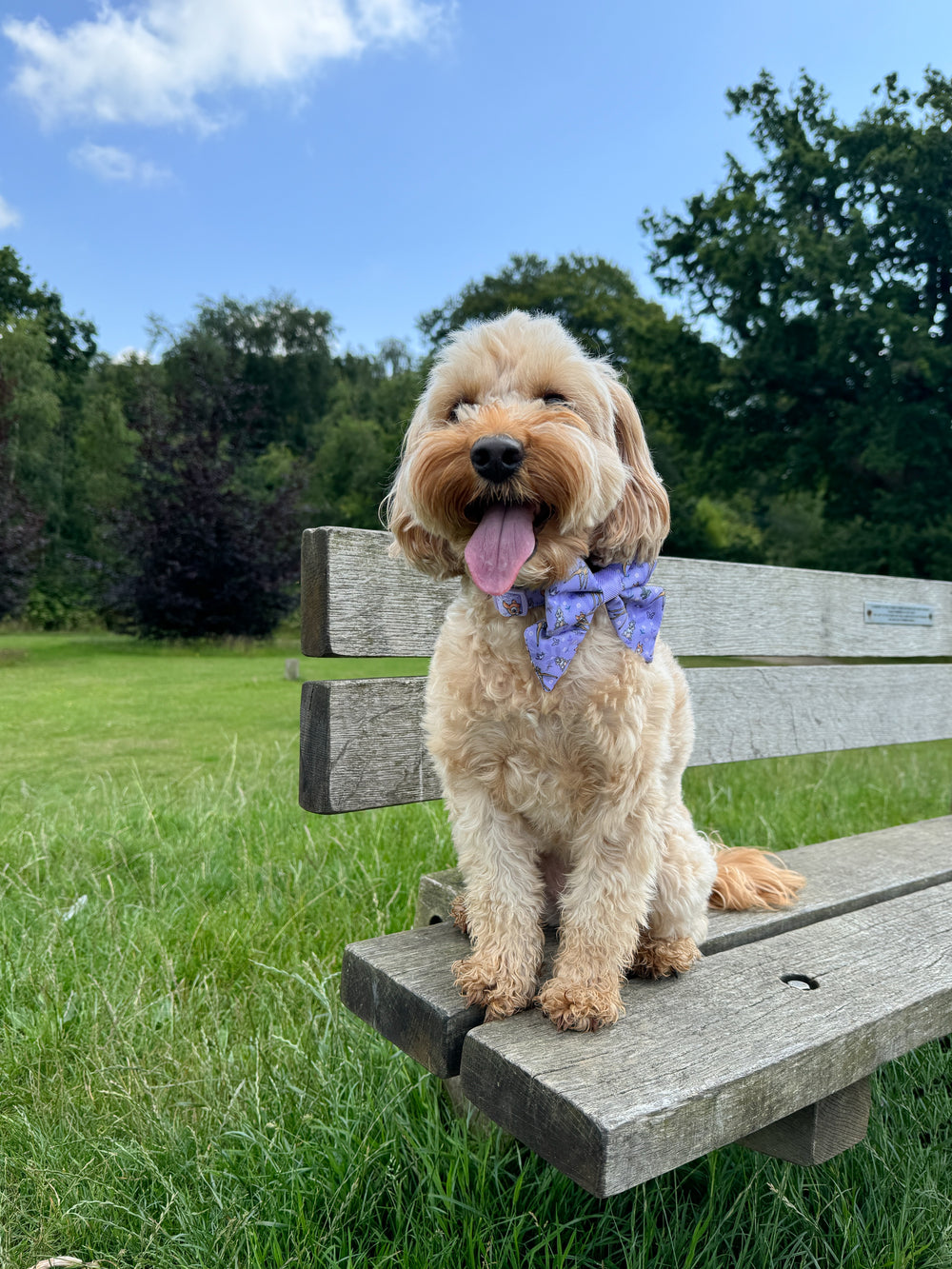 Disney© Sailor Bow Tie - Bambi + Friends Lilac