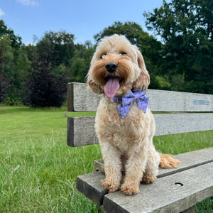 Disney© Sailor Bow Tie - Bambi + Friends Lilac