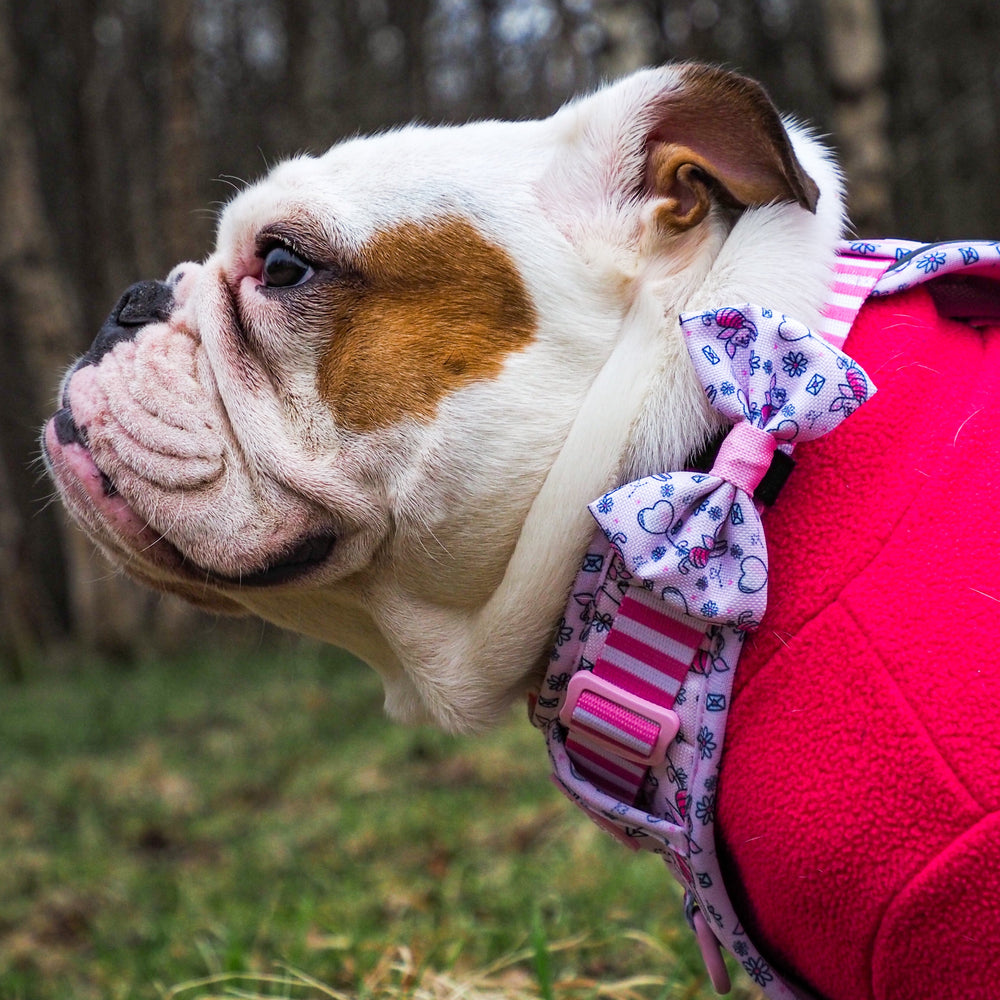 Disney© Bow Tie - Piglet