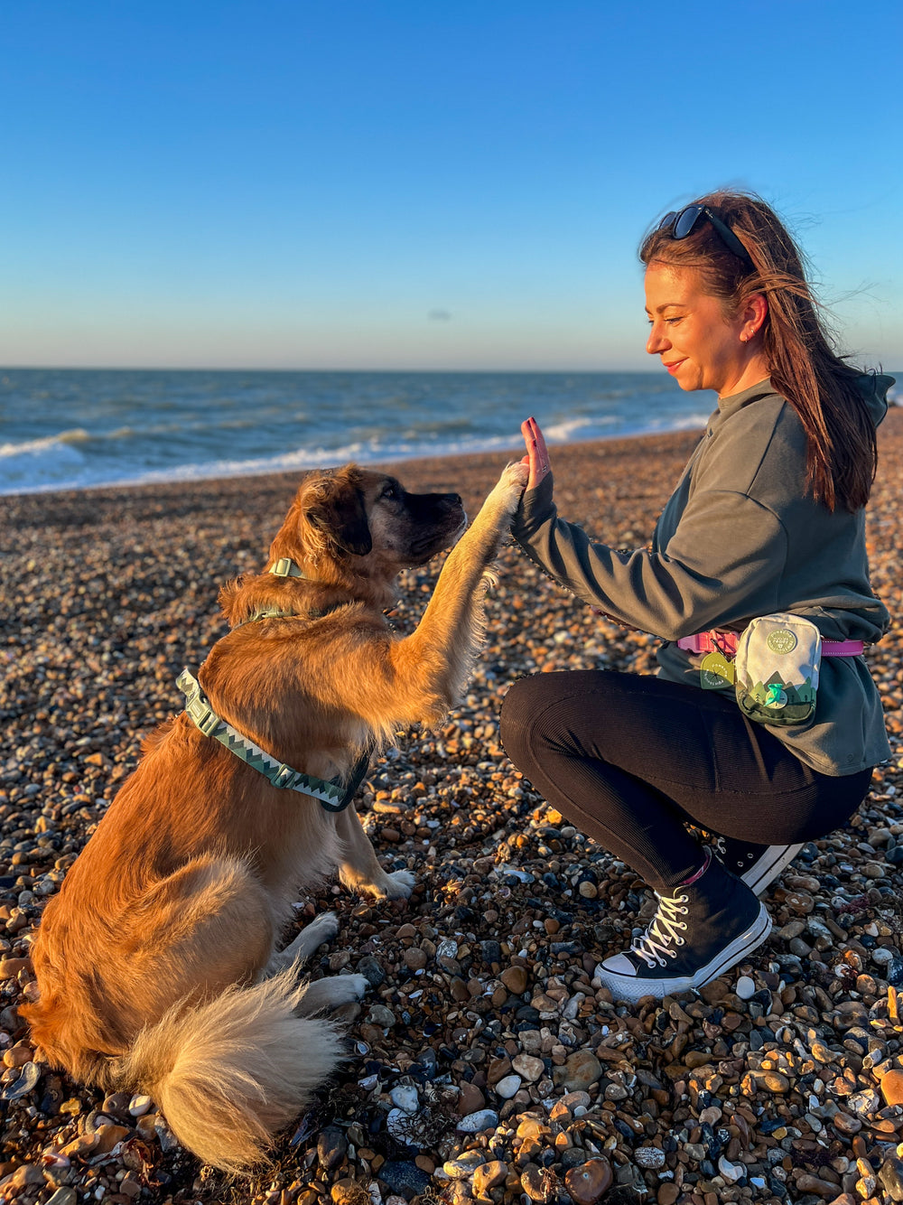 Treat + Go Bag - Walkies Ready® Forest Green