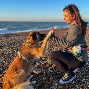 Treat + Go Bag - Walkies Ready® Forest Green