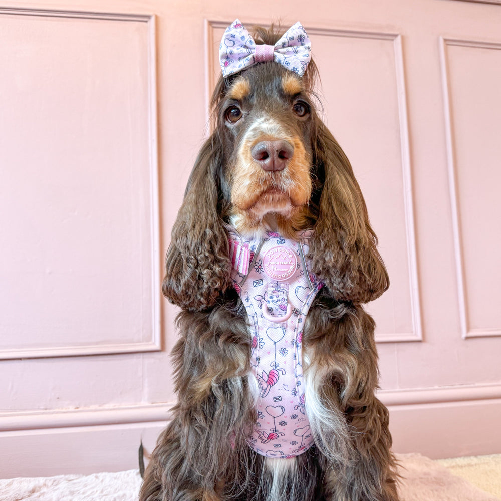 Disney© Bow Tie - Piglet