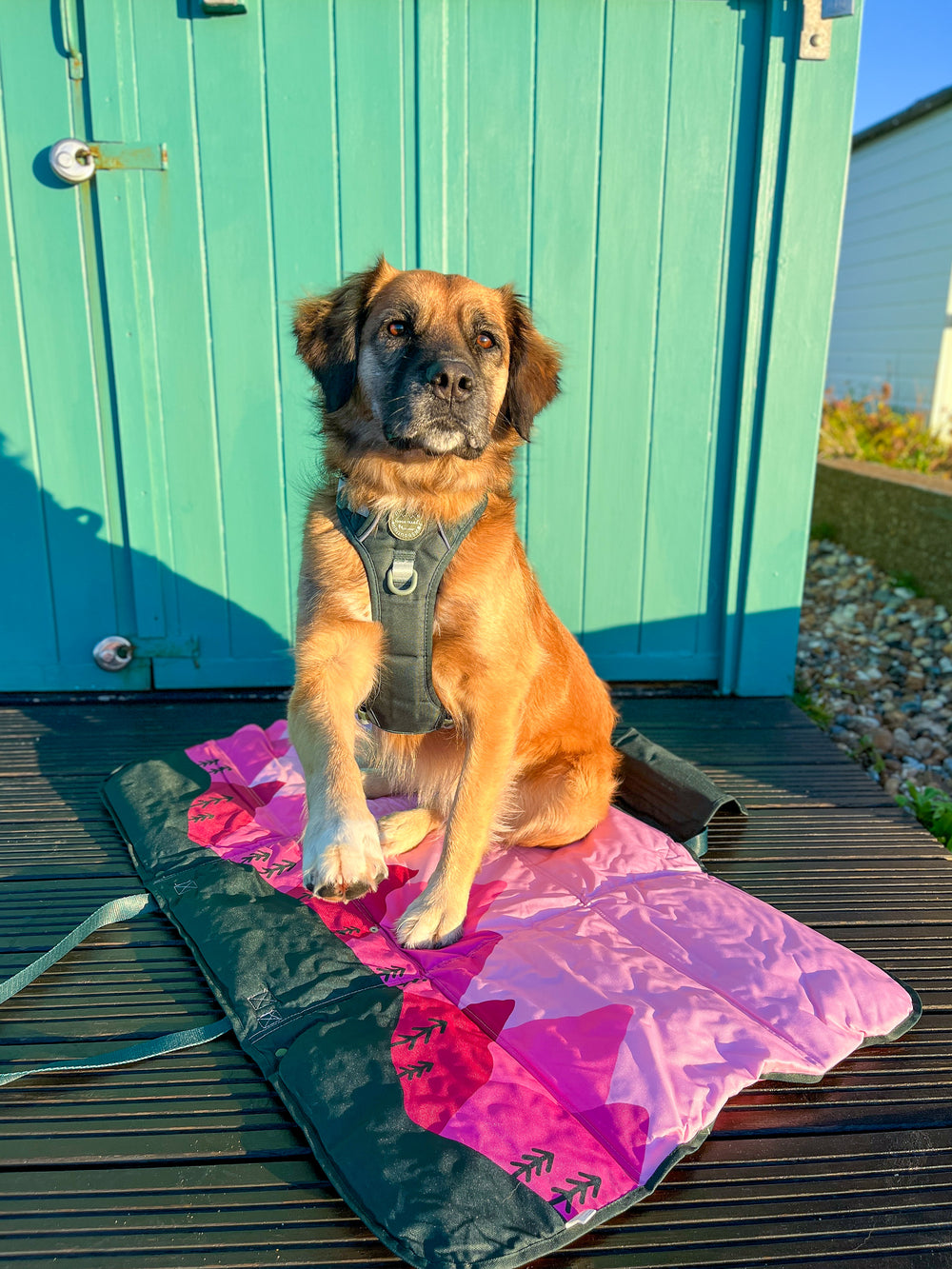 Travel Mat - Walkies Ready®