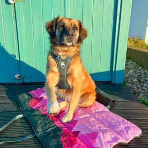 Travel Mat - Walkies Ready®