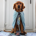 Disney© Microfibre Towel - Eeyore