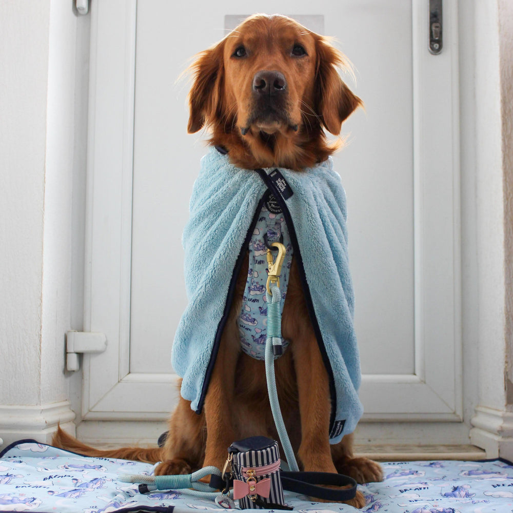 Disney© Microfibre Towel - Eeyore