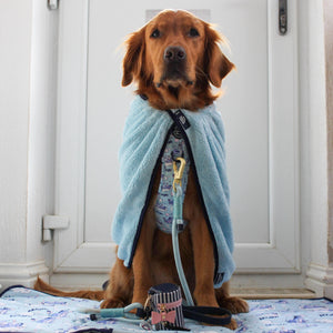 Disney© Microfibre Towel - Eeyore