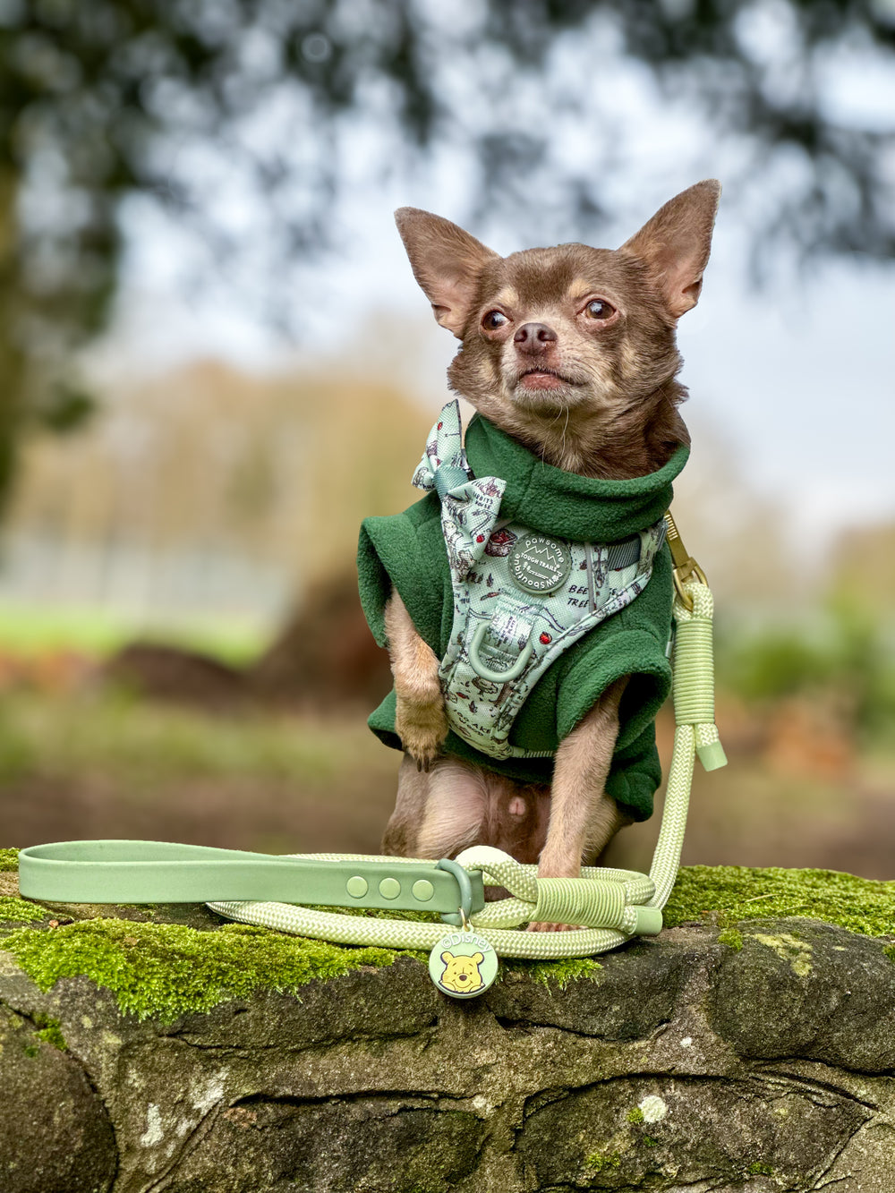 Disney© 4ft Rope Lead - 100 Aker Wood - Light and Dark Green