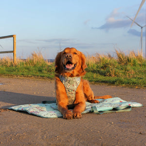 Disney© Travel Mat - 100 Aker Wood