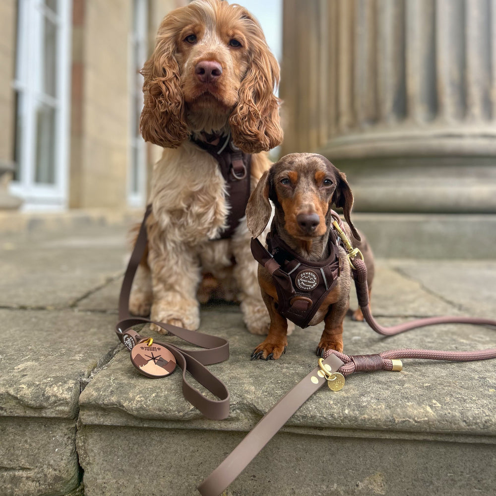 4ft Waterproof Lead - Walkies Ready® Chocolate Brown