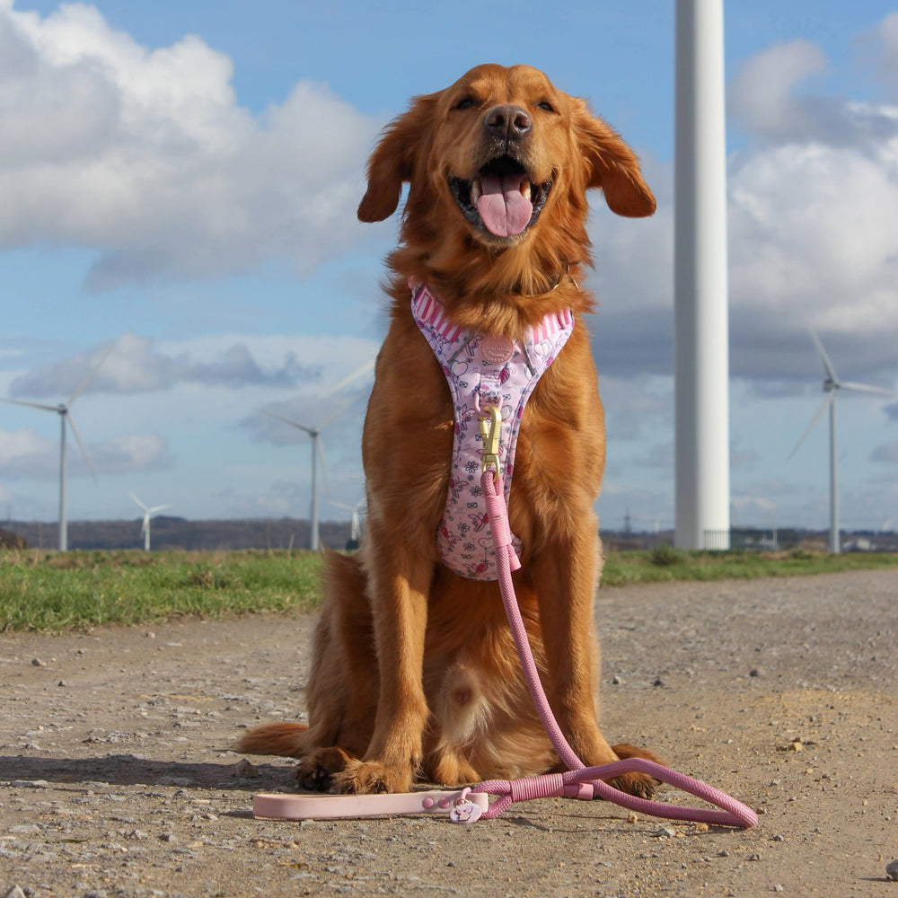 Disney© 4ft Rope Lead - Piglet - Pink