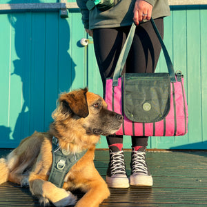 Travel Mat - Walkies Ready®