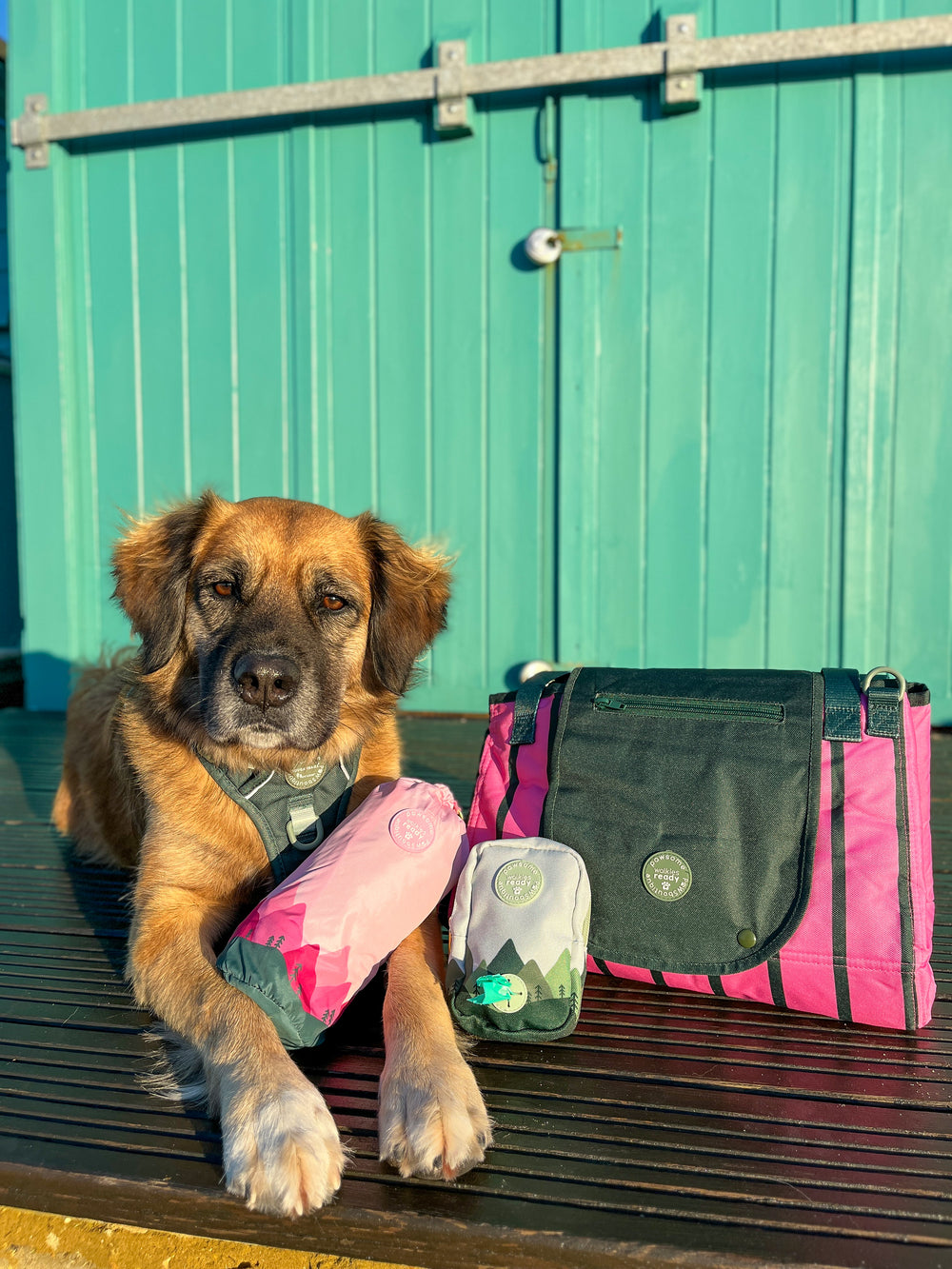 Treat + Go Bag - Walkies Ready® Forest Green