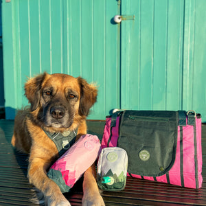 Treat + Go Bag - Walkies Ready® Forest Green