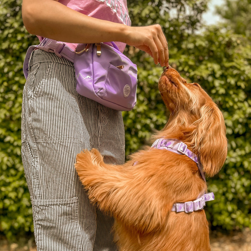 All In One Bumbag - Lavender Lilac