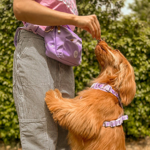 All In One Bumbag - Lavender Lilac