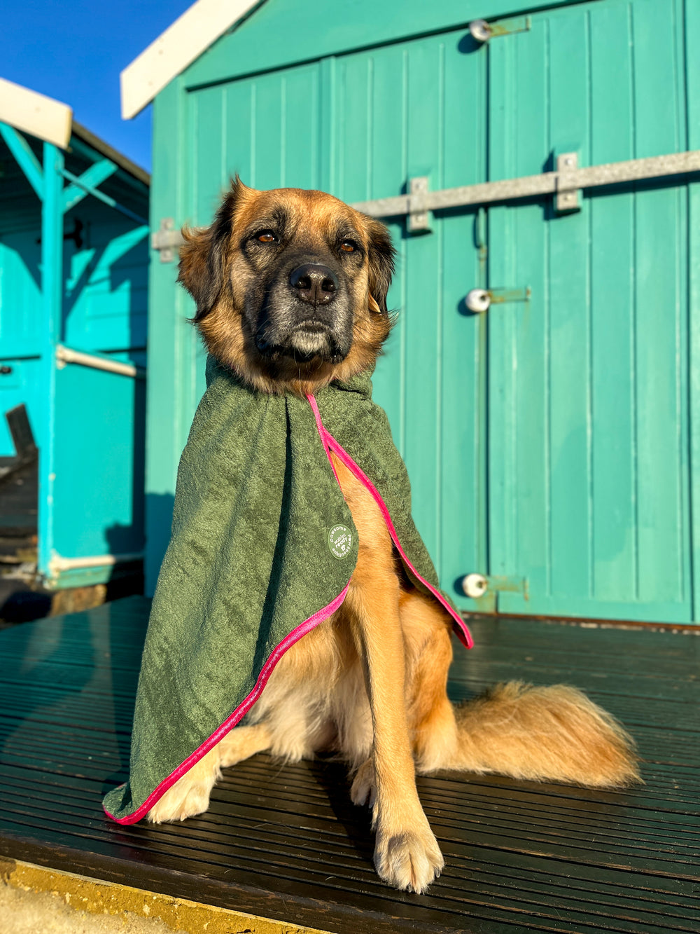 Microfibre Towel - Walkies Ready®