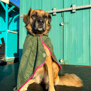 Microfibre Towel - Walkies Ready®