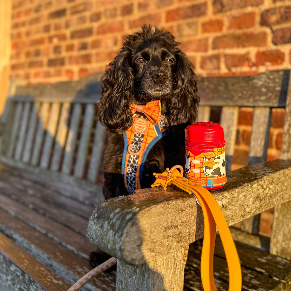 Disney© Treat Pouch - Woody