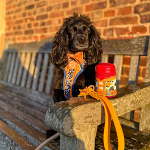 Disney© Treat Pouch - Woody