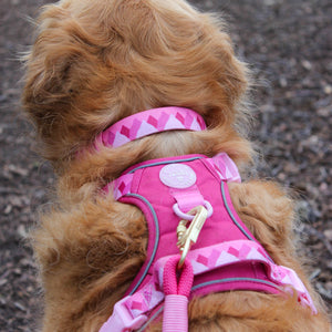 Tough Trails™ Harness - Walkies Ready® Raspberry Pink