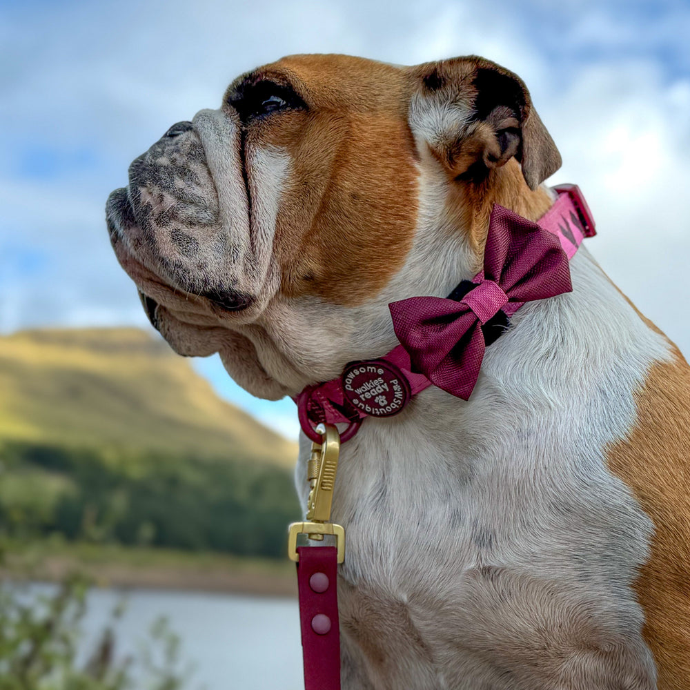 Bow Tie - Walkies Ready® - Mulberry