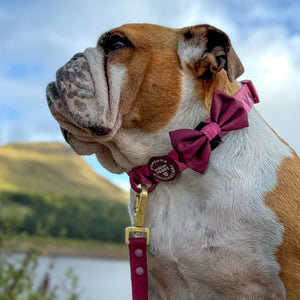 Bow Tie - Walkies Ready® - Mulberry