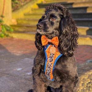 Disney© Bow Tie - Woody