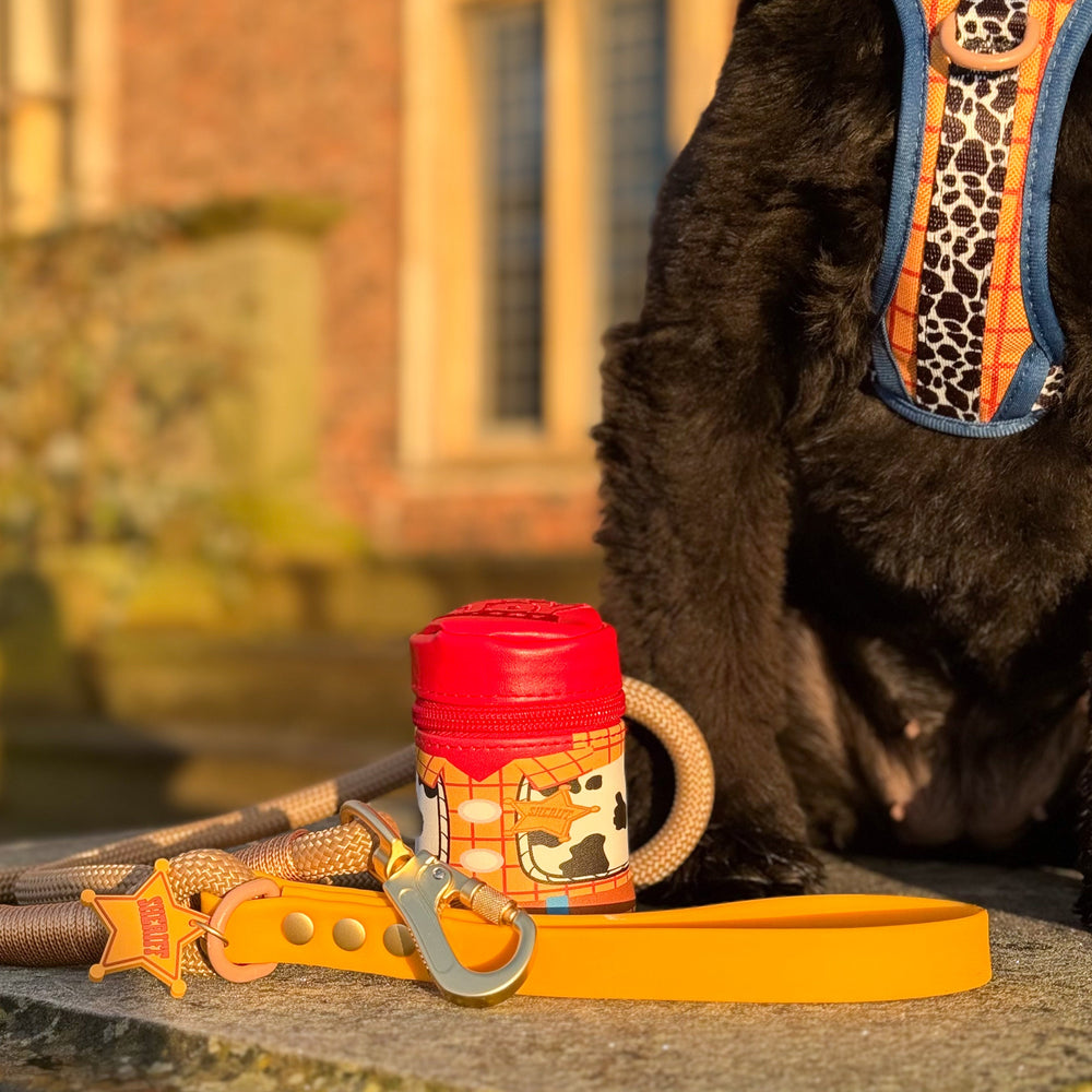 Disney© Treat Pouch - Woody