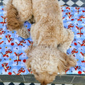 Disney© Dog Blanket - Tigger