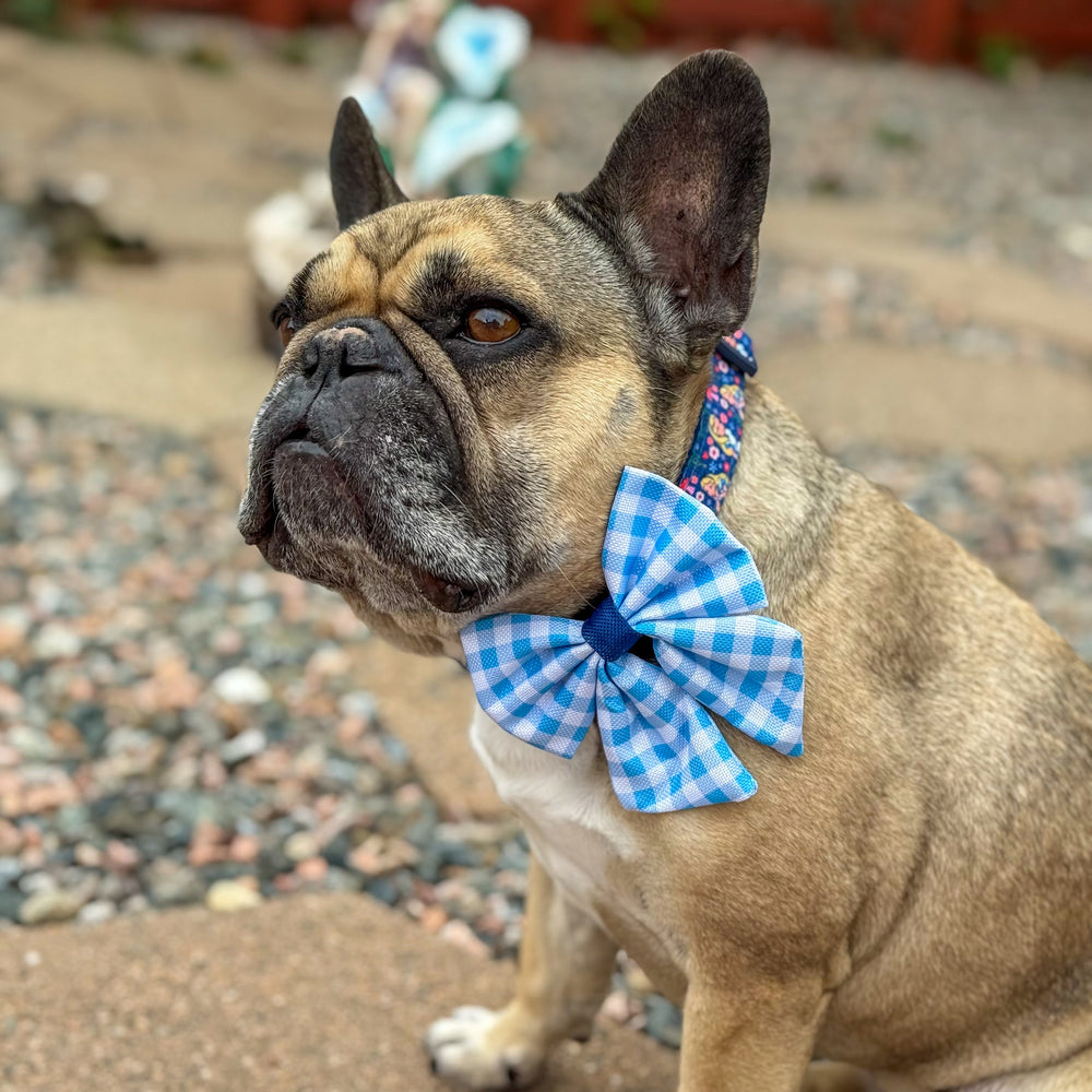 Sailor Bow - Alice In Wonderland