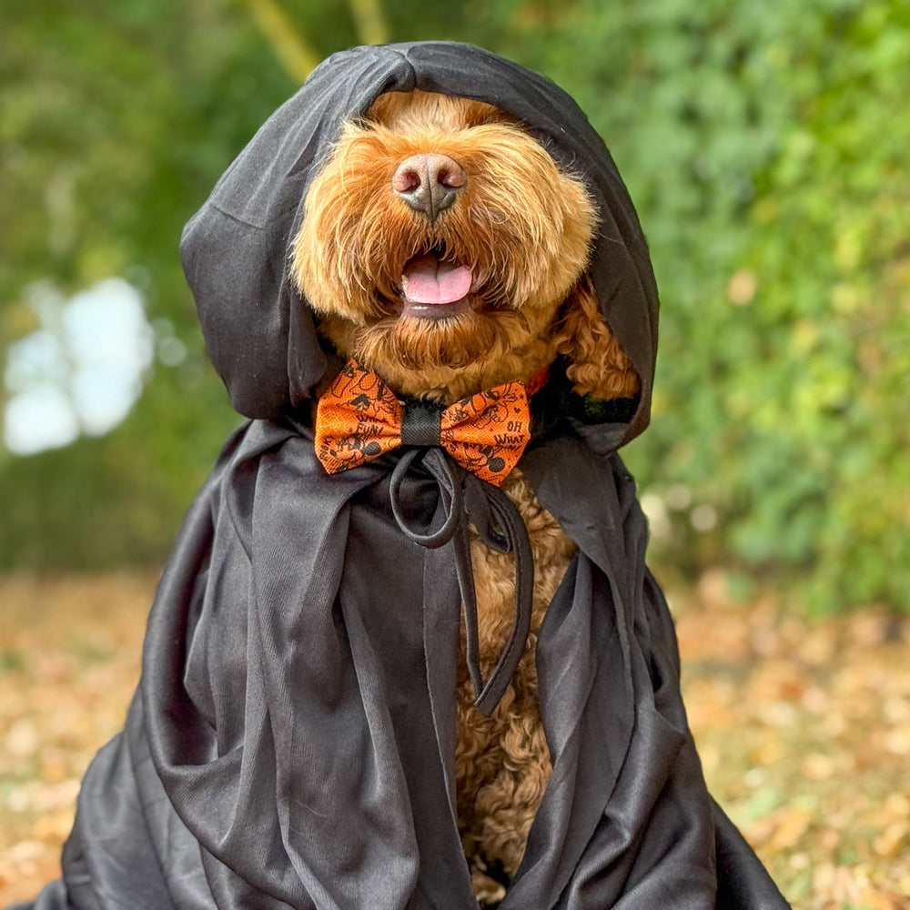Disney© Bow Tie - Halloween