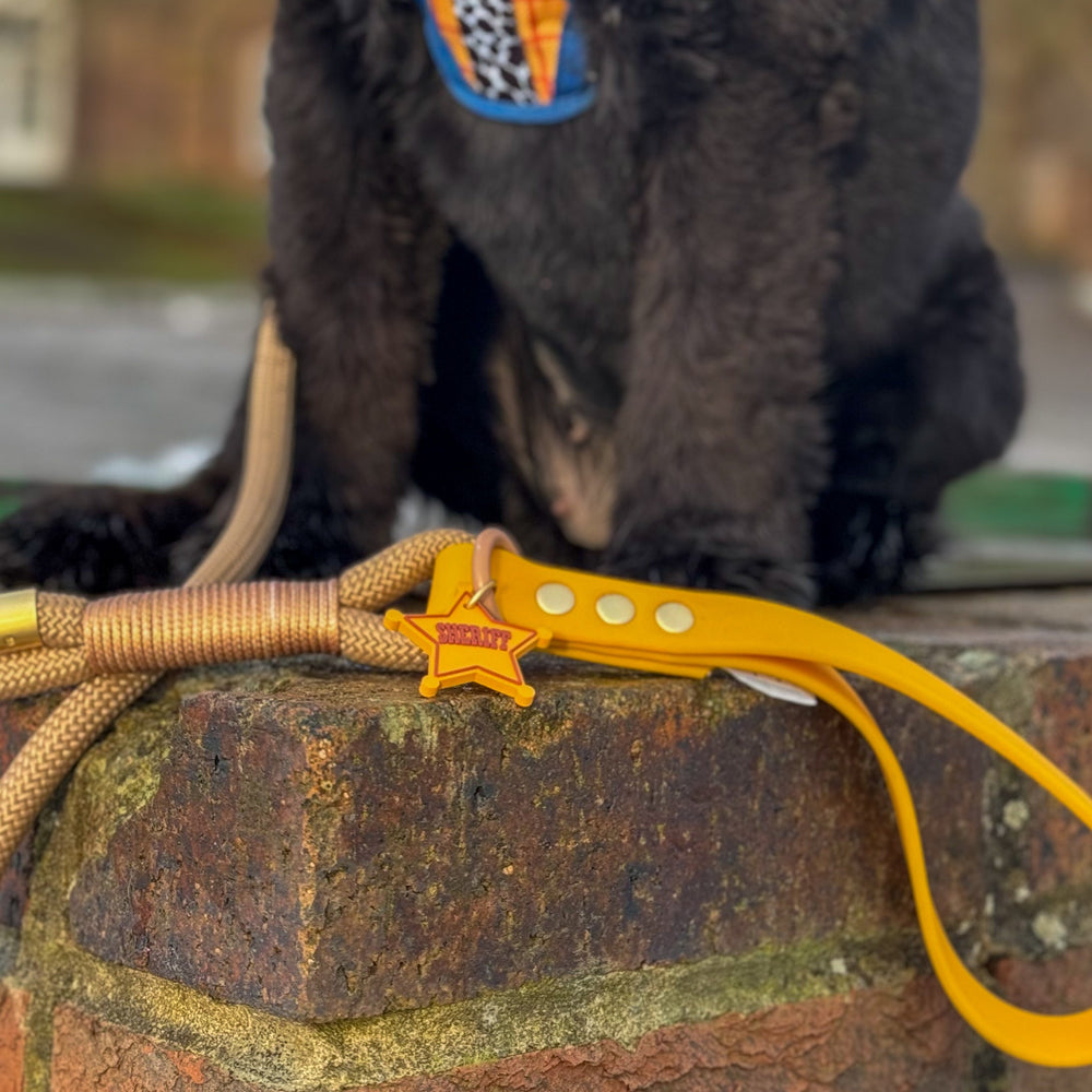 Disney© 4ft Rope Lead - Woody