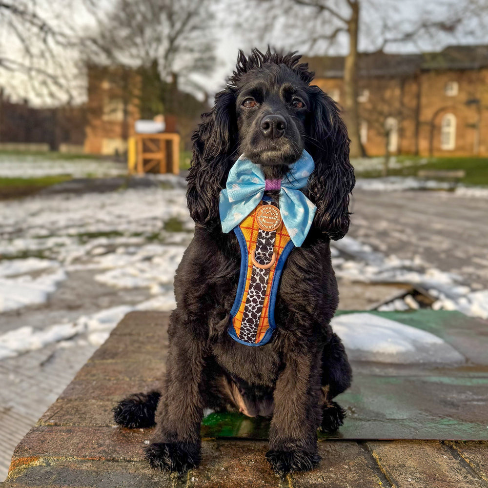 Disney© Sailor Bow - Buzz Lightyear