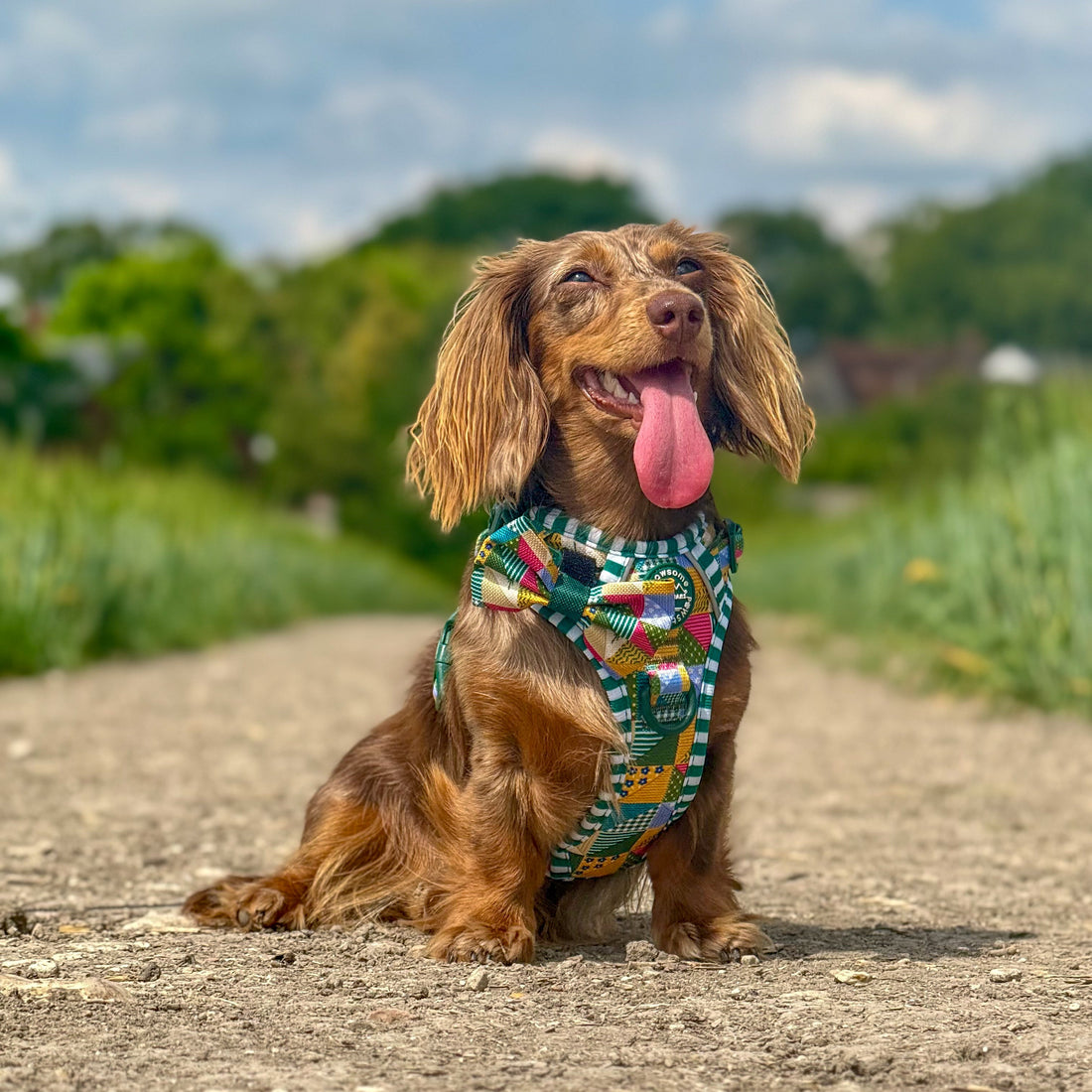 Bow Tie - Patchwork