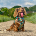 Bow Tie - Patchwork