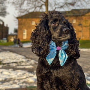 Disney© Sailor Bow - Buzz Lightyear