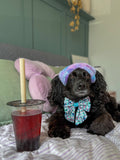 Disney© Sailor Bow Tie - Stitch's Slumber Party