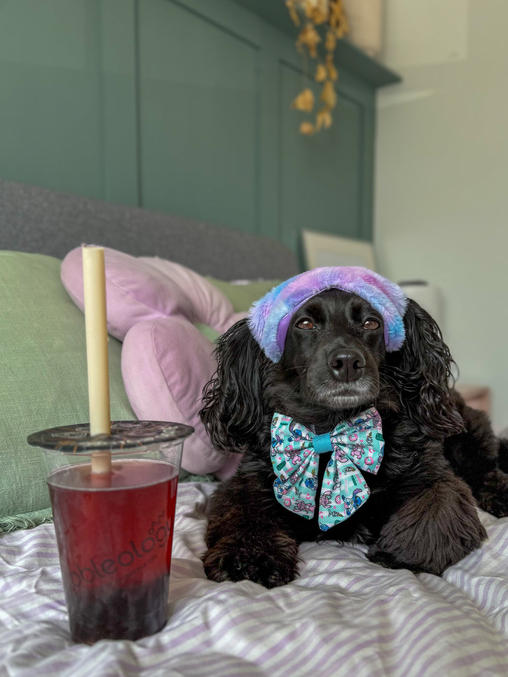 Disney© Sailor Bow Tie - Stitch's Slumber Party