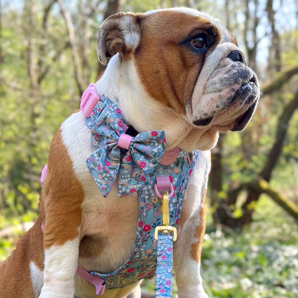 Sailor Bow - Whimsical Wildflowers