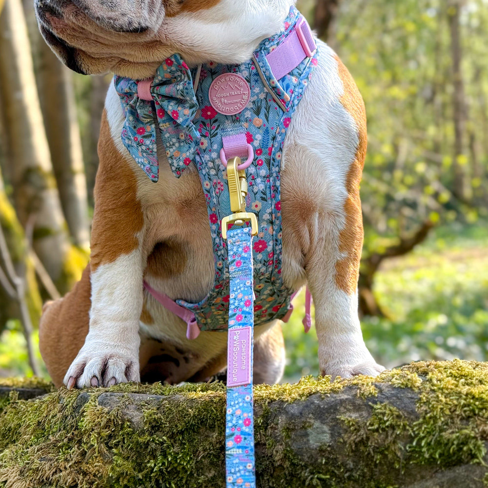 Lead - Whimsical Wildflowers