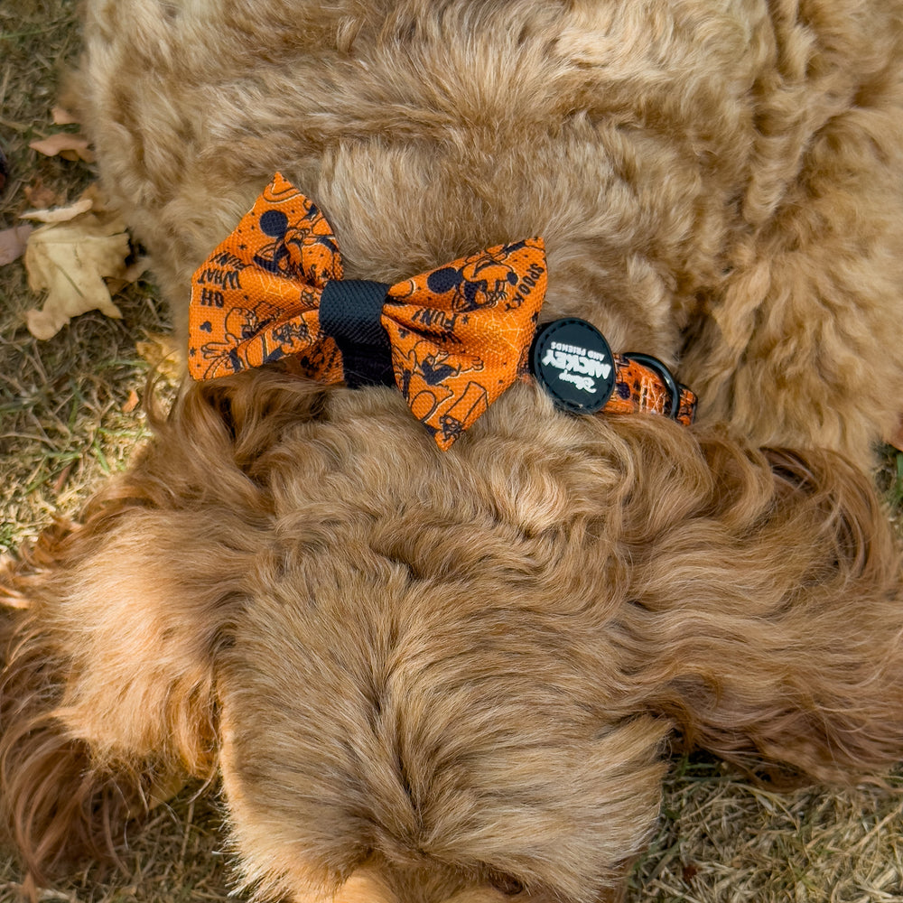 Disney© Bow Tie - Halloween