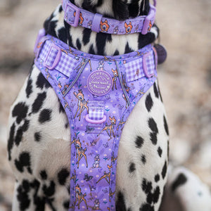 Disney© Collar - Bambi + Friends Lilac