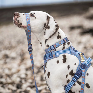 Disney© Lead - Bambi + Friends Blue