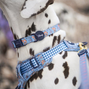 Disney© Collar - Bambi + Friends Blue