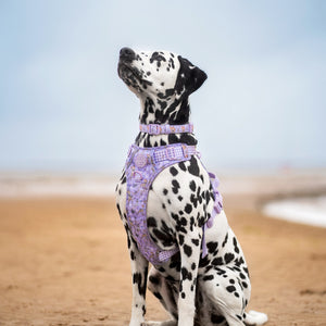 Disney© Collar - Bambi + Friends Lilac