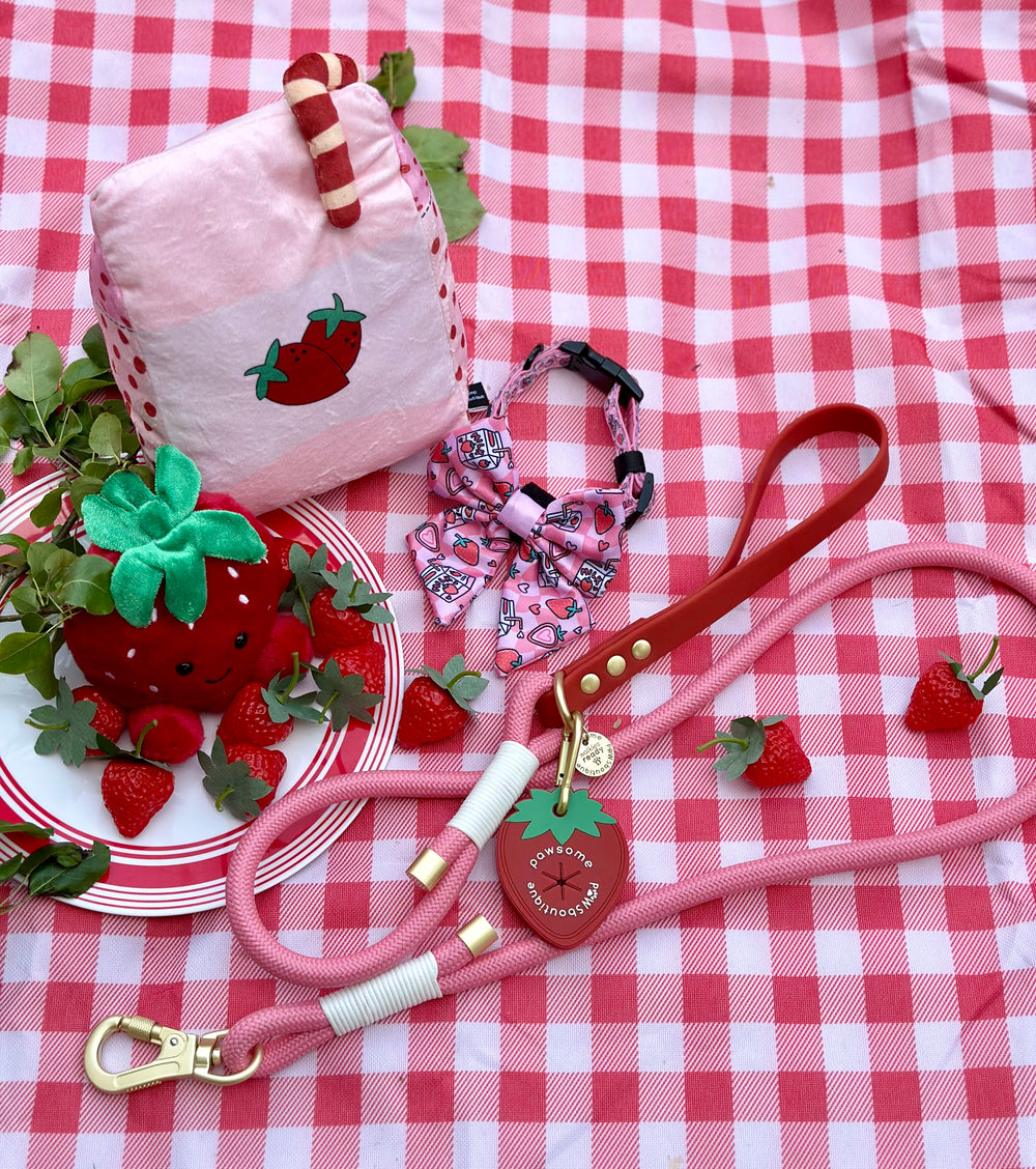 4ft Rope Lead - Red + Pink